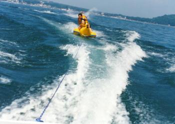 �n���O�I��