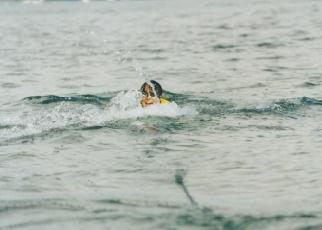 �E�H�[�^�[�X�L�[�r�M�i�[