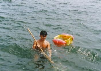 960817�O�Ԑ��������