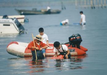 961013�O�Ԑ��������