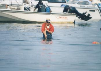 961013�O�Ԑ��������