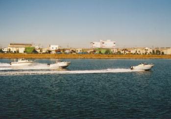 961206�r�f�I�B�e