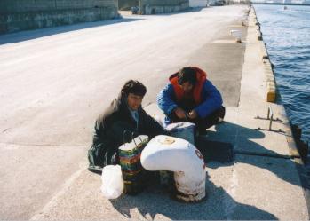 961206�r�f�I�B�e