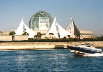 961206ビデオ撮影