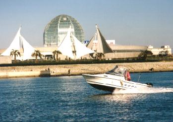 961206ビデオ撮影