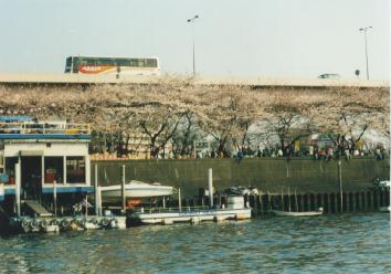 970330Boat Yard���Ԍ��I�t