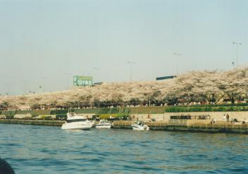 970330Boat Yard���Ԍ��I�t