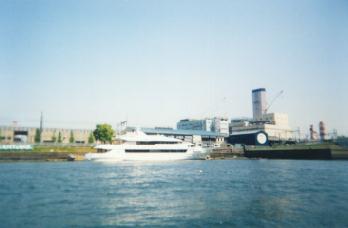 �V���B����